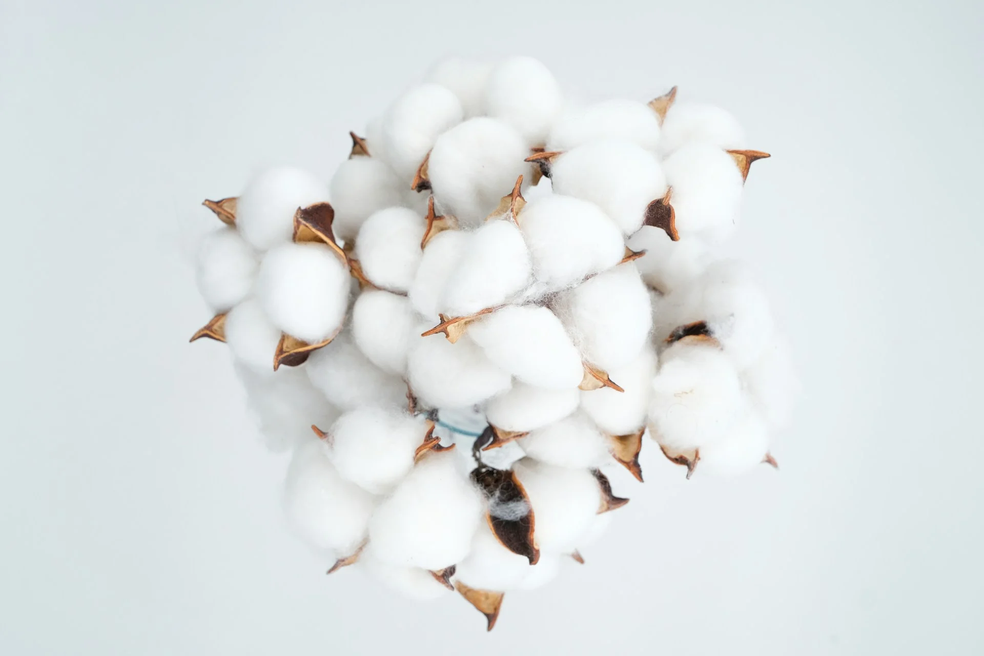 Organic Textile Organic Textile